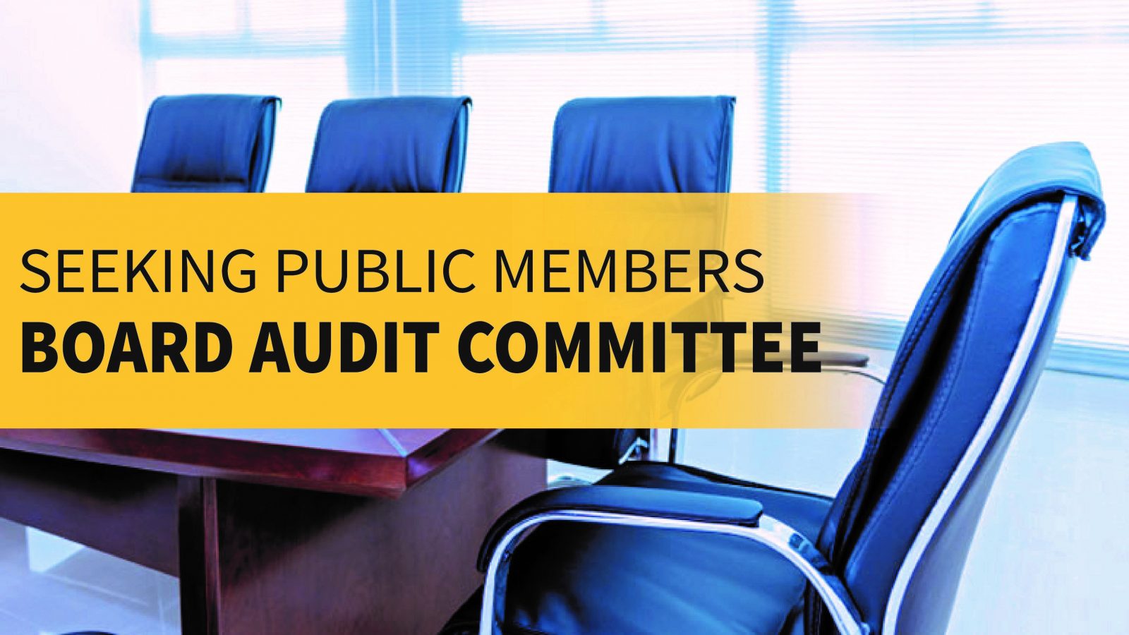 Seeking Public Member For The Board Audit Committee – Black Gold School ...